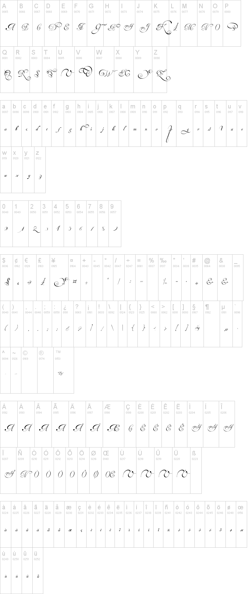 Van den Velde Script