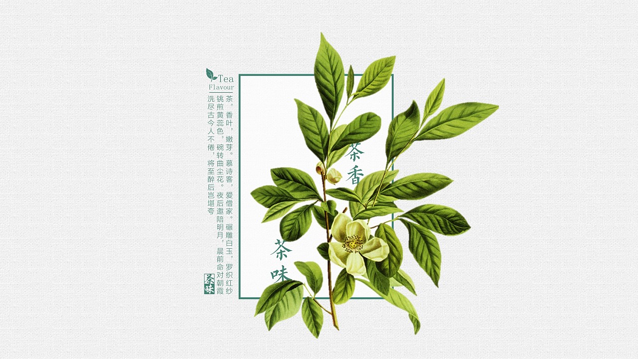 【椰子的叶】茶味境心