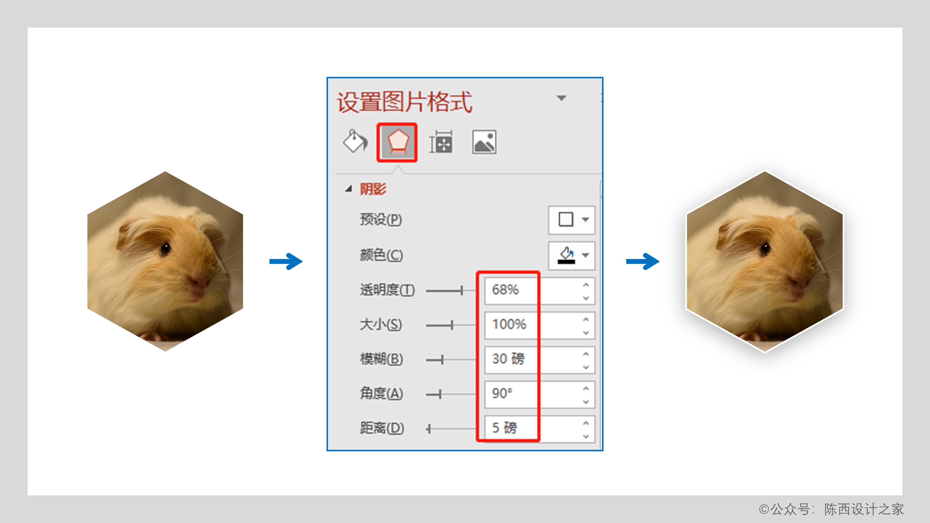 【PPT教程】哇！这几个高级简约的图文排版效果太可了