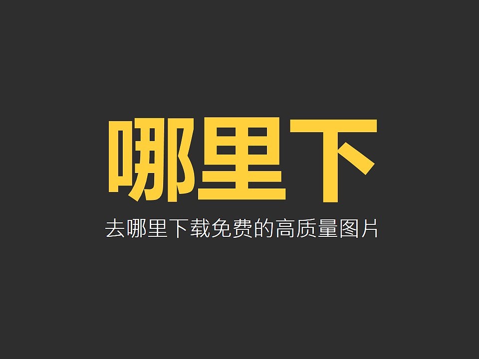 《我懂个P》——种子