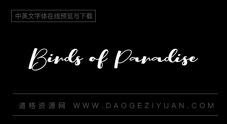 Birds of Paradise