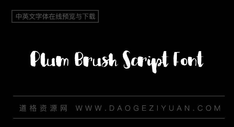 Plum Brush Script Font
