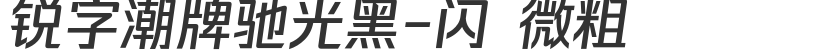 銳字潮牌馳光黑-閃 微粗