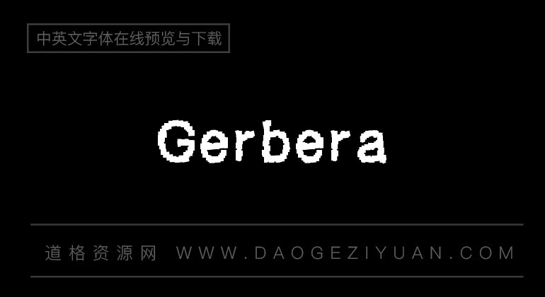 Gerbera