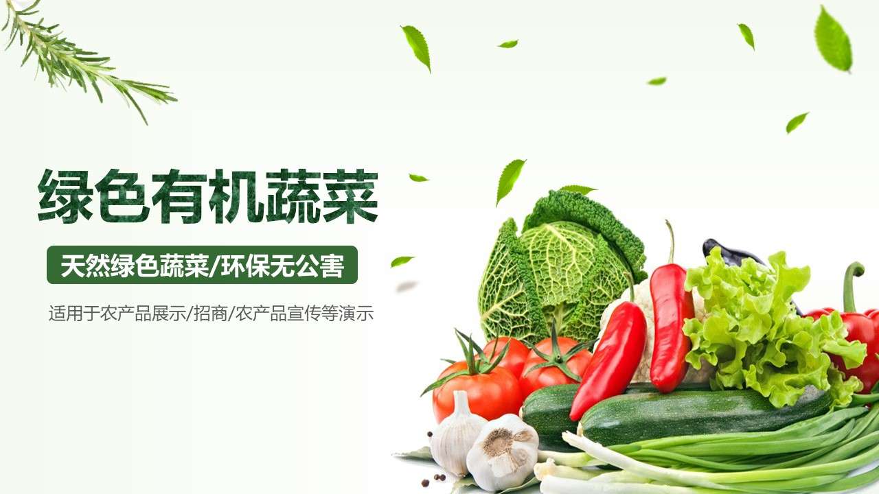 Green organic vegetables environmental protection ppt template