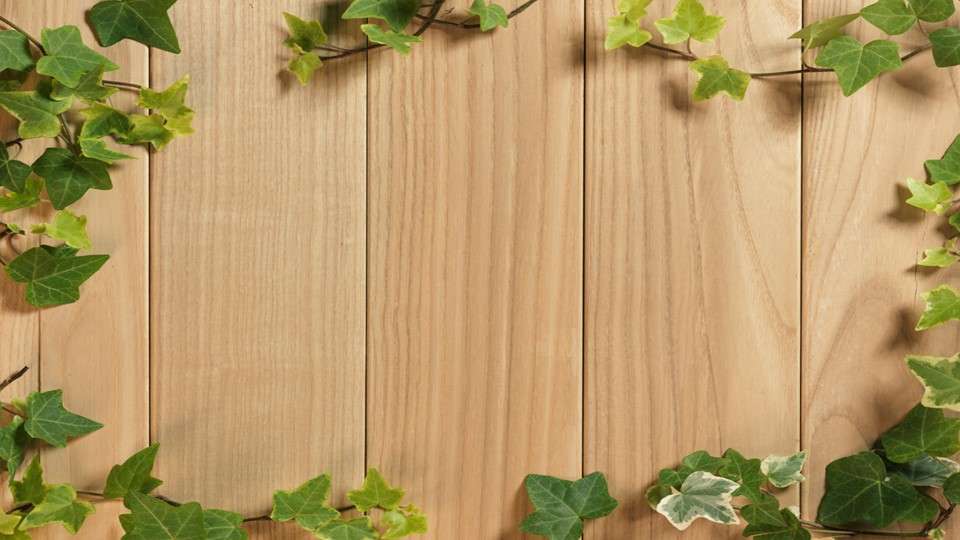 Natural wood vines PPT background picture