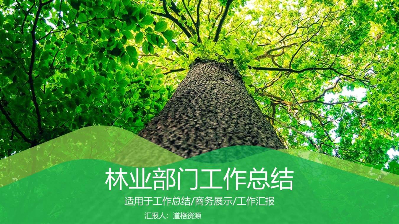 Forestry Bureau work summary debriefing report PPT template