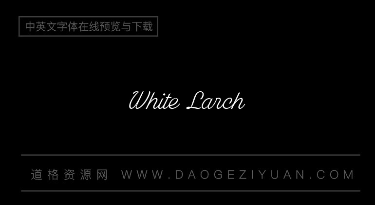 White Larch