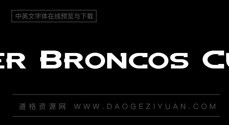 Denver Broncos Custom