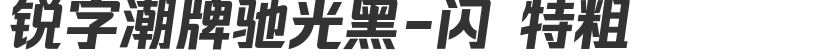 銳字潮牌馳光黑-閃 特粗