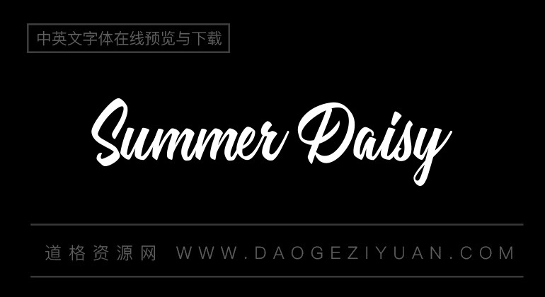 Summer Daisy