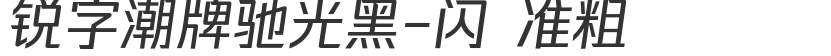 銳字潮牌馳光黑-閃 準粗