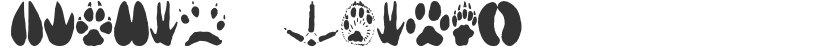 Animal Tracks