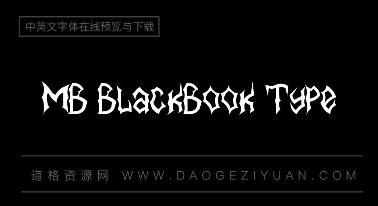 MB BlackBook Type