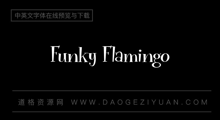 Funky Flamingo