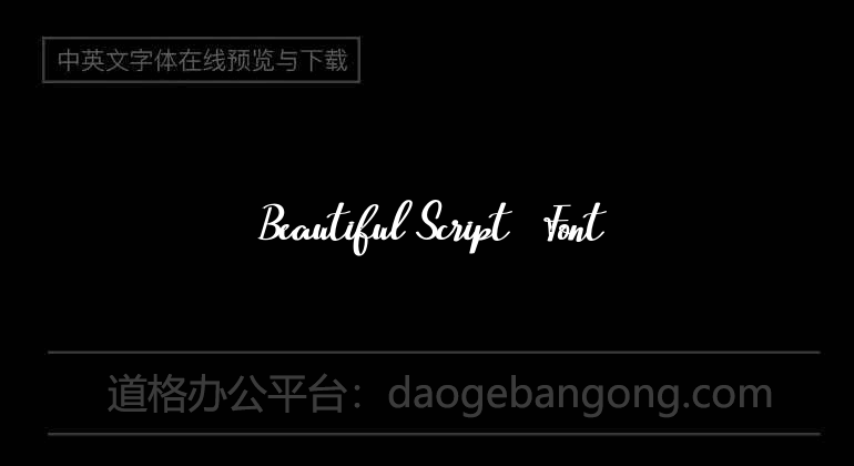 Beautiful Script Font