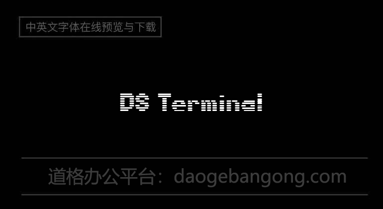 DS Terminal