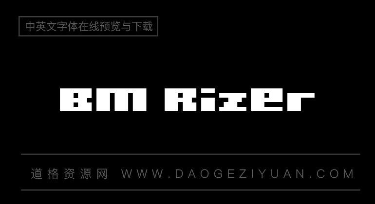 BM Rizer