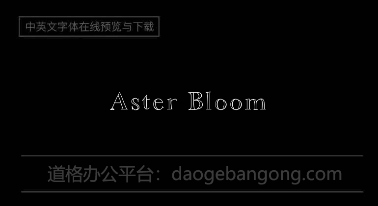 Aster Bloom