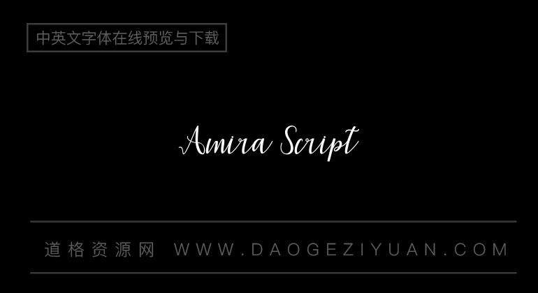 Amira Script