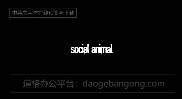 SociaL AnimaL