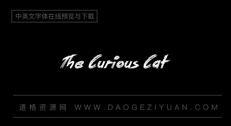 The Curious Cat