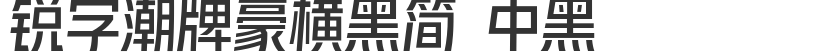 锐字潮牌豪横黑简 中黑