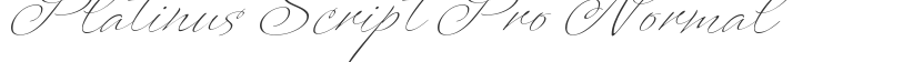 Platinus Script Pro Normal