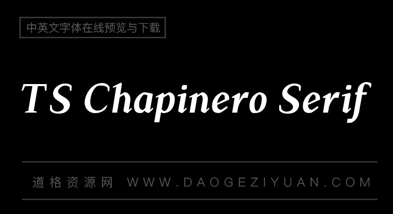 TS Chapinero Serif
