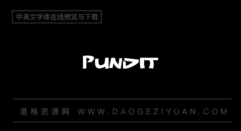Pundit