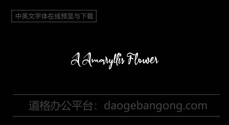 A Amaryllis Flower