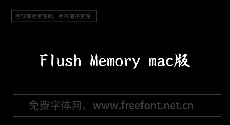 Flush Memory mac version