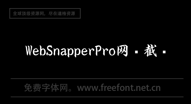 WebSnapperPro web page screenshot