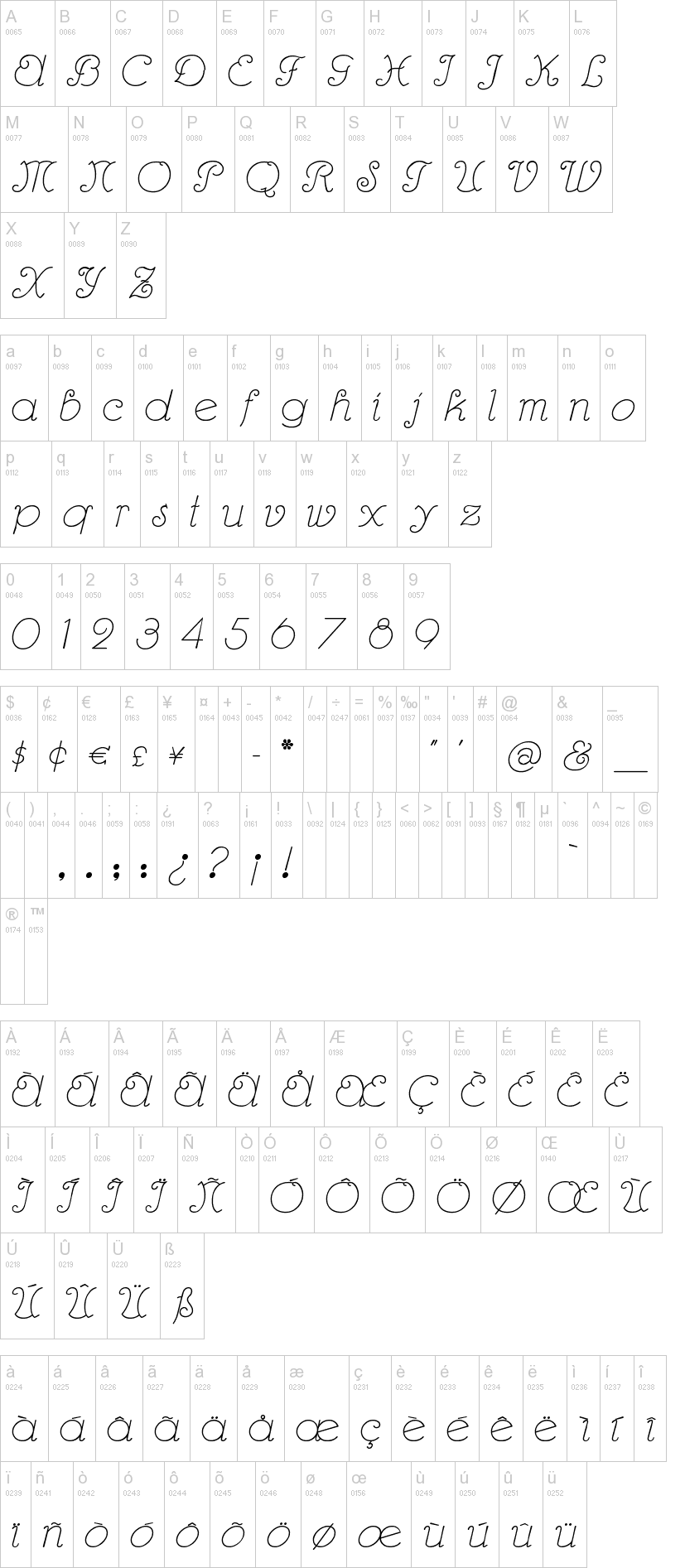 Rhumba Script