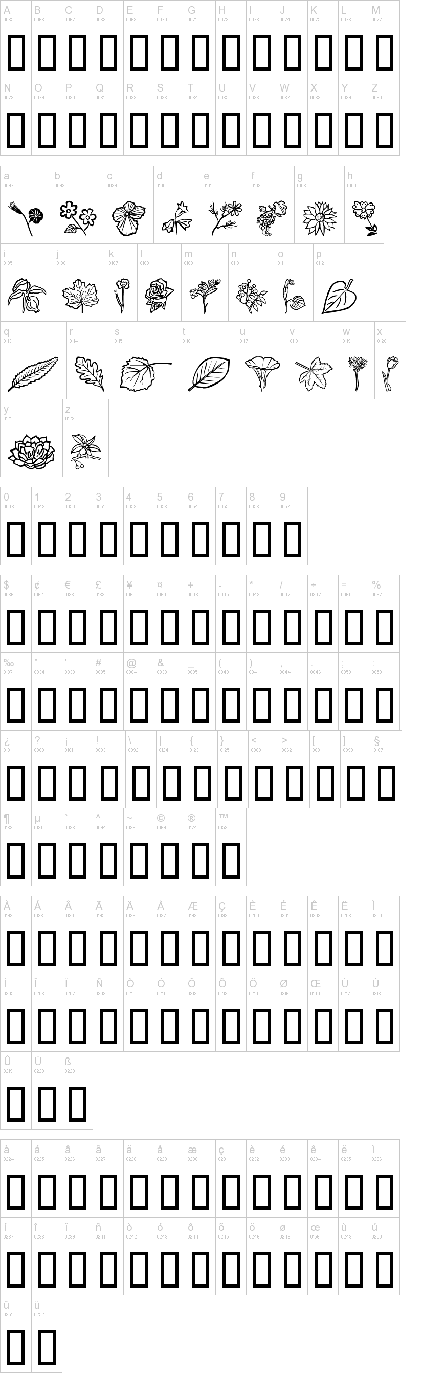 Flower Show字符映射图