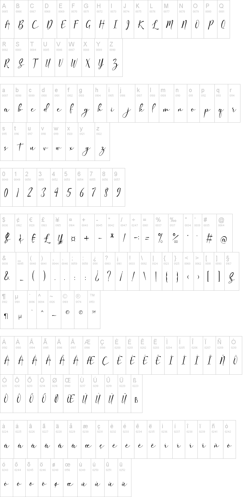 Amlight字符映射图