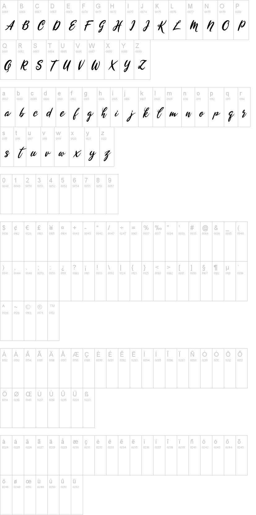 Wyntex Brasco字符映射图