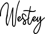 WesteyFree font download