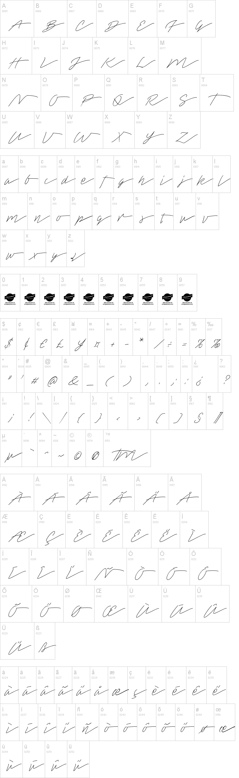 Tamoro Script字符映射图