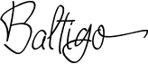 BaltigoFree font download