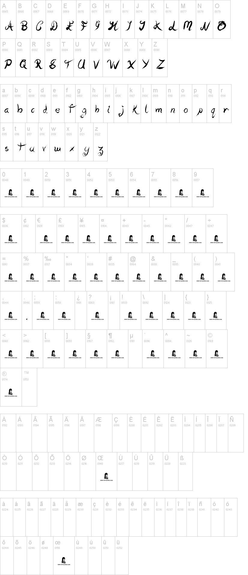 Texas字符映射图