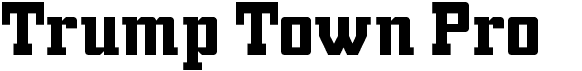 Trump Town ProFree font download