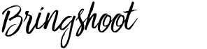 BringshootFree font download