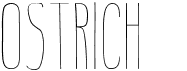 OstrichFree font download