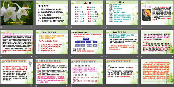 《百合花》PPT课件
（2）