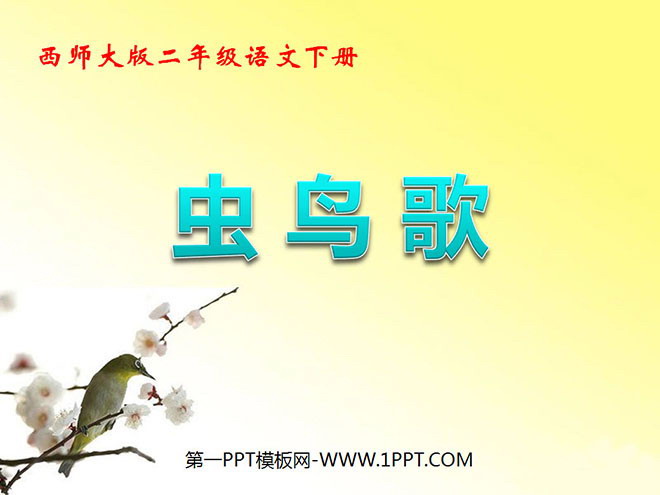 "Insect Bird Song" PPT courseware