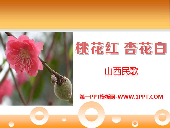 "Peach Blossom, Red Apricot Blossom and White" PPT courseware