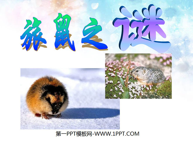 "The Mystery of Lemmings" PPT Courseware 4