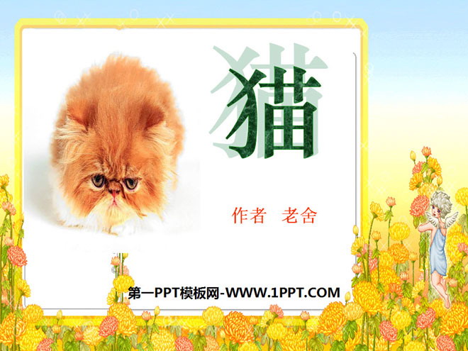"Cat" PPT courseware 3