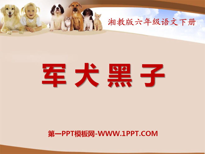 《军犬黑子》PPT课件2
